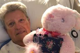 Fundraiser for Pamela Spaulding by Janice Schott : Lets help Pam