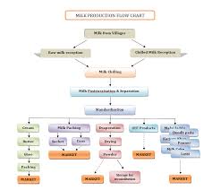 Flow Chart Milk Assembly Line Flow Chart Uht Process Fruit