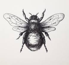 Our website provides the visitors with some great black & white cartoon bumblebee tattoo. Black White Bee Tattoo Design