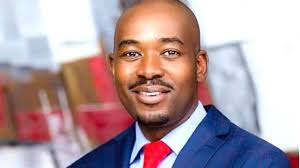 Full List Of Presidential Candidates For Zimbabwe 2018 Elections The Herald