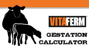 Vitaferm Concept Aid Gestation Calculator Vitaferm