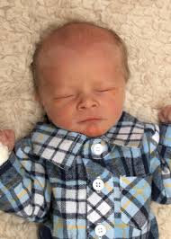 Oswego County TodayBrantley Gessner