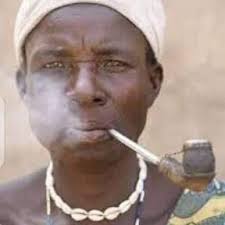 Evelyn Olson (eolson632)