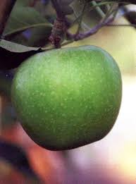 Image result for Granny Smith