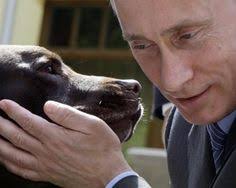 Putin vladimir wikipedia says should replaced version rus replace banned russian russia meeting anime memes lloyds foreign issues. 80 Putin And Animals Ideas Putin Vladimir Putin Animals
