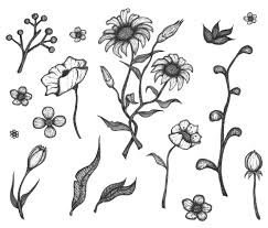 Free Free 339 Flower Drawing Svg Free SVG PNG EPS DXF File