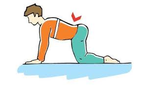 Plus de 80 % des personnes souffriront un jour ou l'autre de lombalgie43 et la lombalgie est la forme de mal de dos la plus fréquente. Conseils Du Kinesitherapeute Sur La Gymnastique Personnelle Mal De Dos Ou Lombalgies En 100 Questions