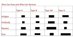 abo blood chart fill in the the blank diagram quizlet