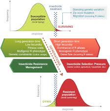 Biological control is a method of controlling pest populations naturally, without the use of toxic chemicals. Management Of Insecticide Resistance Comissioned Reviews What We Do Win Network Ird Win Network