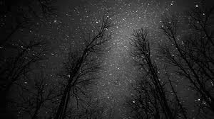 Bloodyhell we're forgotten gods dancing under the stars. Night Court On Tumblr