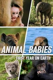 Animal Babies First Year On Earth Putlocker Putlockers Putlocker Tv Series 123movies Baby Animals Babies First Year Animals