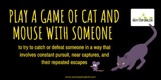 Mouse Rat Idioms 9 Great Idioms With Meanings And Examples Nextstepenglish Com English Vocabulary Words Advanced English Vocabulary Idioms