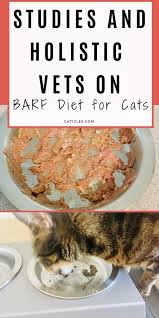 Choosing a veterinarian for your cat is much like choosing a doctor for yourself. Barf Diet For Cats Pros And Cons According To Vets And Studies In 2020 Homemade Raw Cat Food Barf Diet Raw Cat Food Recipes