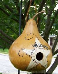 Birdhouse Gourds For Sale Clean Dried Gourds For Sale For Gourd Art Crafts And Painting Gourds Birdhouse Painted Gourds Gourds Crafts