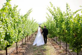 We did not find results for: Foley Sonoma Wedding Image Gallery