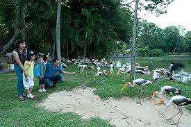 Check spelling or type a new query. Private Transport To Zoo Negara Tripcarte Asia