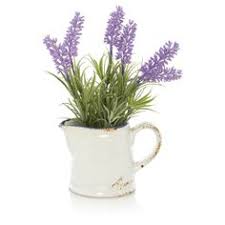 Moonflowers glow in the dark! 23 Bathrooms Ideas George At Asda Bathroom Accessories Purple Bathrooms