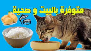 أفضل 7 أغذية للقطط المعلبة يمكن شراؤها في عام 2020 ما هو الطعام الصحي للقطط
