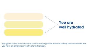H4h Initiative How To Use The Urine Colour Chart