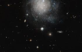 Galaxia espiral barrada ngc 2608, rodeada por muchas muchas otras galaxias conoce a ngc 2608, una galaxia espiral barrada a unos 93 millones de años luz de distancia, en la constelación de cáncer. Picture Of The Week Esa Hubble