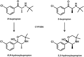 Image result for Bupropion