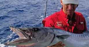 It's no surprise that most of this is to do with water! Maldives 2009 Bluewaterfishing