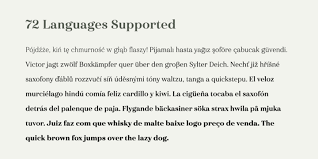 Haboro Webfont Desktop Font Myfonts Portfolio Booklet Fonts