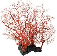 The subtle shades in this coastal design will make it easy to fit into most any beach decor. Amazon Com Faux Coral Decor