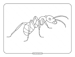 We did not find results for: Ant Pdf Coloring Page Coloring Pages Ant Coloring Page Color