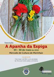 Mais fotos na galeria de fotografias. Atendimento Aos Municipes Cmsm
