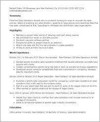 1 sales operations analyst resume