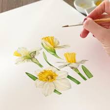 Narcissus Watercolor Illustration Watercolor Botanicalillustration Botanical Botany Fl Narcissus Flower Narcissus Flower Tattoos Botanical Illustration
