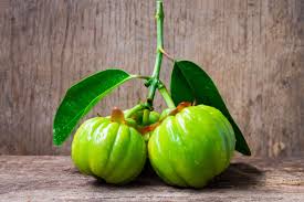 Image result for Garcinia acutifolia