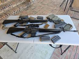 Image result for April Green 1977 Colt