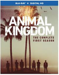 The codys must deal with the aftermath of the heist as they discover all did not go as planned. Animal Kingdom Season 1 Blu Ray Cover Screen Connections