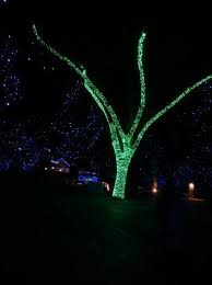 Denver Zoo Lights Google Search Denver Zoo Zoo Lights Zoo