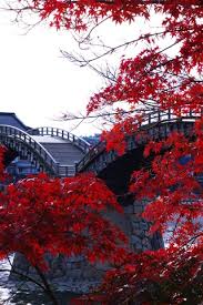 Maybe you would like to learn more about one of these? Wooden Arched Bridge River Trees Red Maple Leaves Kintai Japan 640x1136 Iphone 5 5s 5c Se Wallpaper Background Picture Image