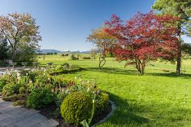 There are 4 english garten for sale on etsy, and they cost 19,50 $ on average. Englischer Garten Terza Natura Gartenjuweliere