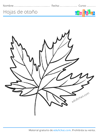 Hojas De Otono Para Colorear Descargar Dibujos Para Pintar Pdf Hojas De Otono Hojas De Otono Dibujo Dibujos