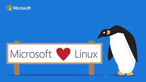 Microsoft Wants To Join Closed Linux List For Bug Reporting Red Hat Enterprise Linux Microsoft Linux