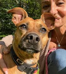 😊 Lilly is just the sweetest little girl.