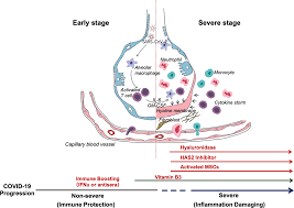 It was first identified in december 2019 in wuhan,. Covid 19 Infection The Perspectives On Immune Responses Cell Death Differentiation