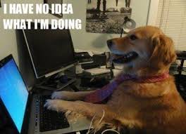 Image 234765 I Have No Idea What I M Doing Funny Dog Memes Cute Dog Memes Dog Memes