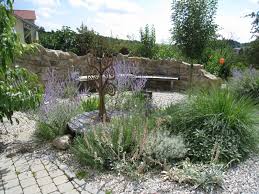 Kiesgarten Grasses Landscaping Front Yard Landscaping Backyard Landscaping