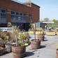Volunteer in Our Rooftop Garden event image
