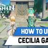 Cecilia garden is a domain in genshin impact. 1