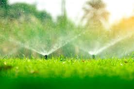 So for a 30 foot x 50 foot lawn you would use 1500. When Is The Best Time To Water My Lawn Ng Turf