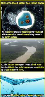 20, 2019 an earlier version of this article said the los angeles department of water and power captured 22 billion gallons of water during the most recent storm. 100 Interesting Facts About Water Fact Republic Water Facts Fun Facts Interesting Facts About World