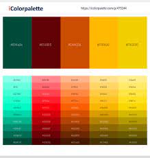 Colours that go well with orange tone combination palettes. 32 Latest Color Schemes With Dark Green And Orange Color Tone Combinations 2021 Icolorpalette