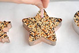 Guzel Seyler Panosundaki Pin